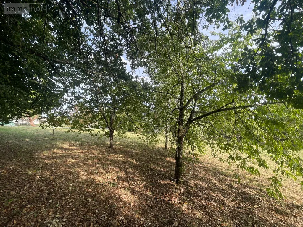 Terrain a batir a vendre Ribérac 24600 Dordogne 24 1924 m2 27000 euros 077/1750 011