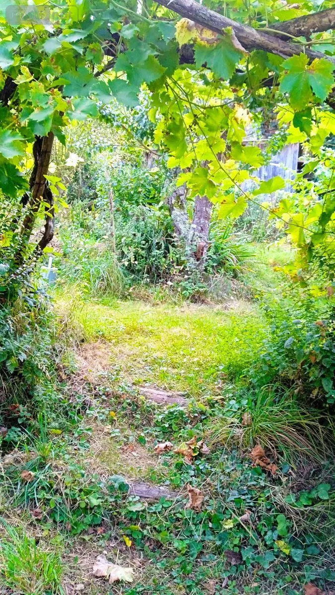 Maison a vendre Beaumont-Pied-de-Bœuf 72500 Sarthe 72 95 m2 4 pièces 127200 euros 13816/1226 027