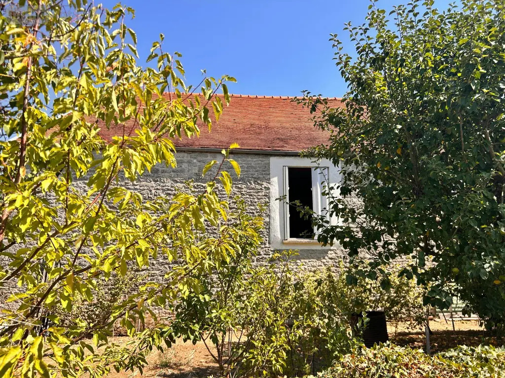 Maison a vendre Balot 21330 Côte-d'Or 21 61 m2 3 pièces 100000 euros 1001865 003