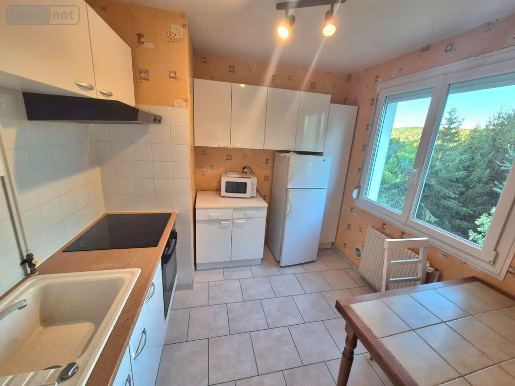 Appartement a vendre Bar-sur-Seine 10110 Aube 10 45 m2 2 pièces 49500 euros 10043-401 005