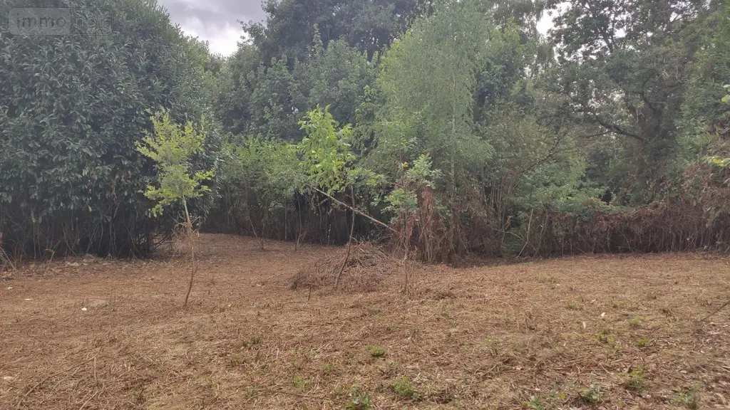Terrain a batir a vendre Pluméliau-Bieuzy 56930 Morbihan 56 817 m2 35000 euros 065/1890 004