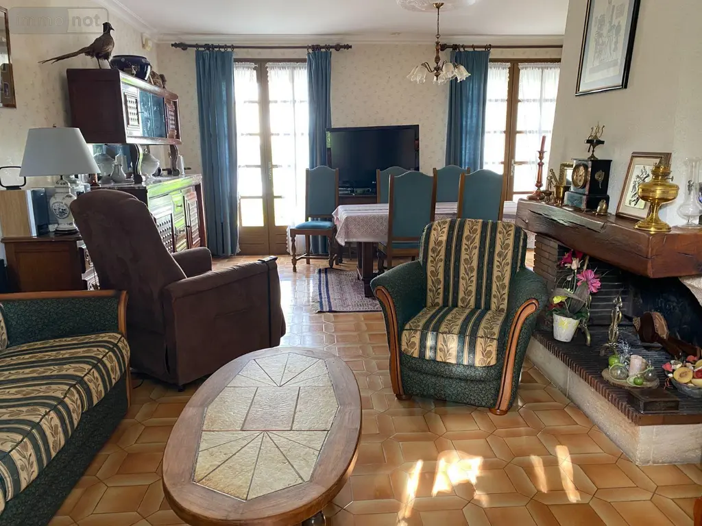 Maison a vendre Châtillon-sur-Indre 36700 Indre 36 115 m2 6 pièces 128400 euros 1052221 005