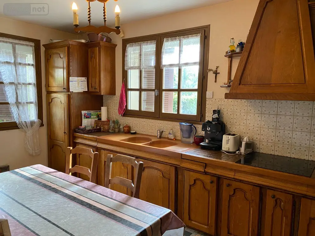 Maison a vendre Châtillon-sur-Indre 36700 Indre 36 115 m2 6 pièces 128400 euros 1052221 014