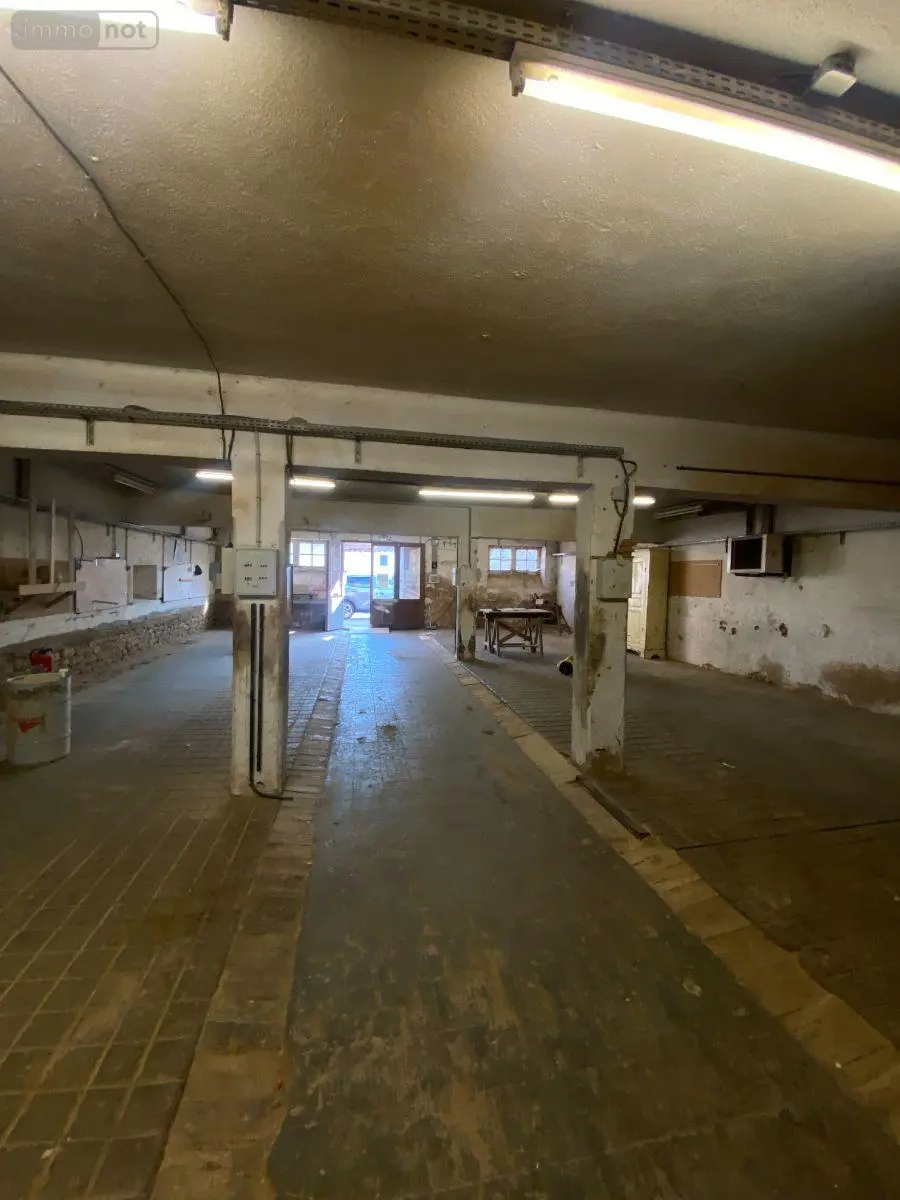 Immeuble de rapport a vendre Pusey 70000 Haute-Saône 70 1815 m2 10 pièces 327100 euros 70003-341 003