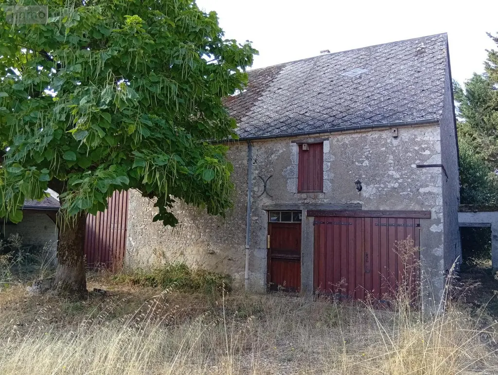 Maison a vendre Josnes 41370 Loir-et-Cher 41 130 m2 3 pièces 220600 euros 091/1538 015