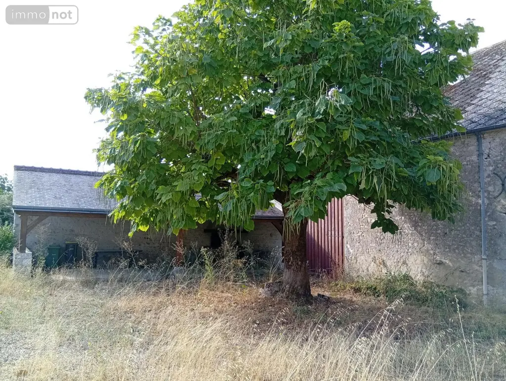 Maison a vendre Josnes 41370 Loir-et-Cher 41 130 m2 3 pièces 220600 euros 091/1538 016