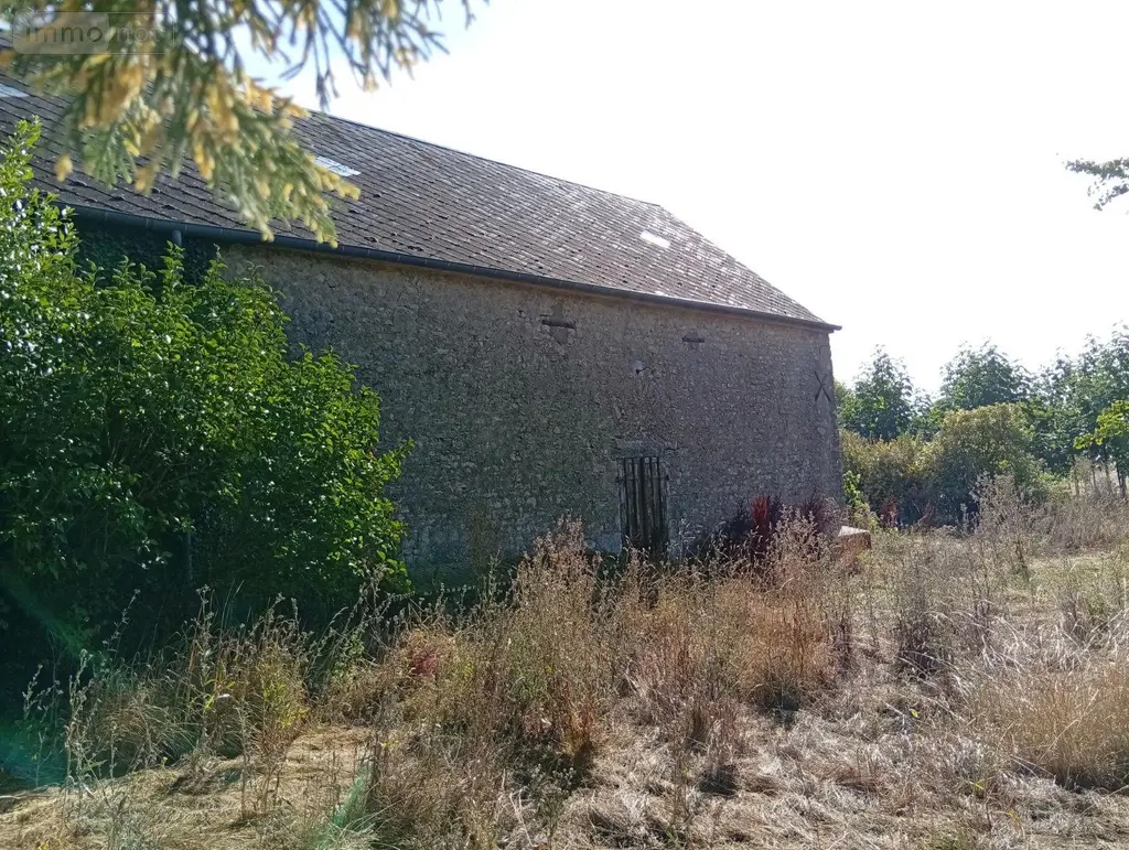 Maison a vendre Josnes 41370 Loir-et-Cher 41 130 m2 3 pièces 220600 euros 091/1538 023