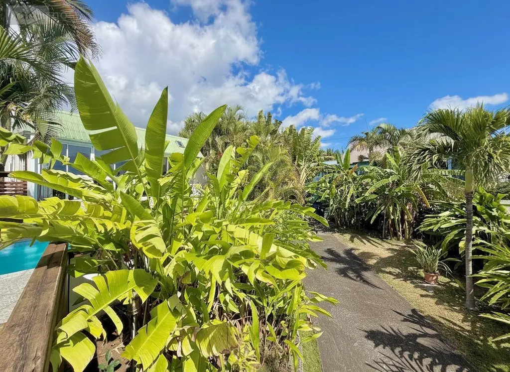 Maison a vendre Saint-Paul 97460 La Réunion 974 129 m2 5 pièces 544870 euros 97424/321 003