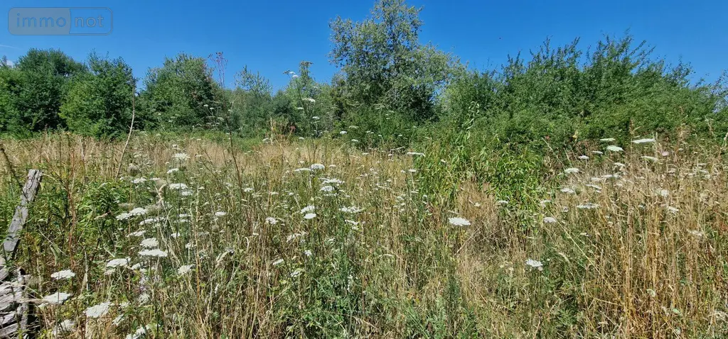 Maison a vendre Louhans-Châteaurenaud 71500 Saône-et-Loire 71 80 m2 3 pièces 69000 euros MA-LO 003