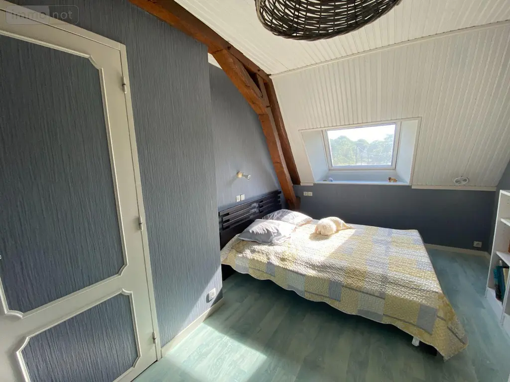 Maison a vendre Palluau-sur-Indre 36500 Indre 36 203 m2 9 pièces 271500 euros 1052145 011