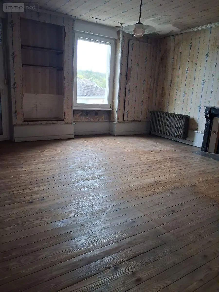 Maison a vendre Eurville-Bienville 52410 Haute-Marne 52 218 m2 9 pièces 48900 euros JO/1082 011