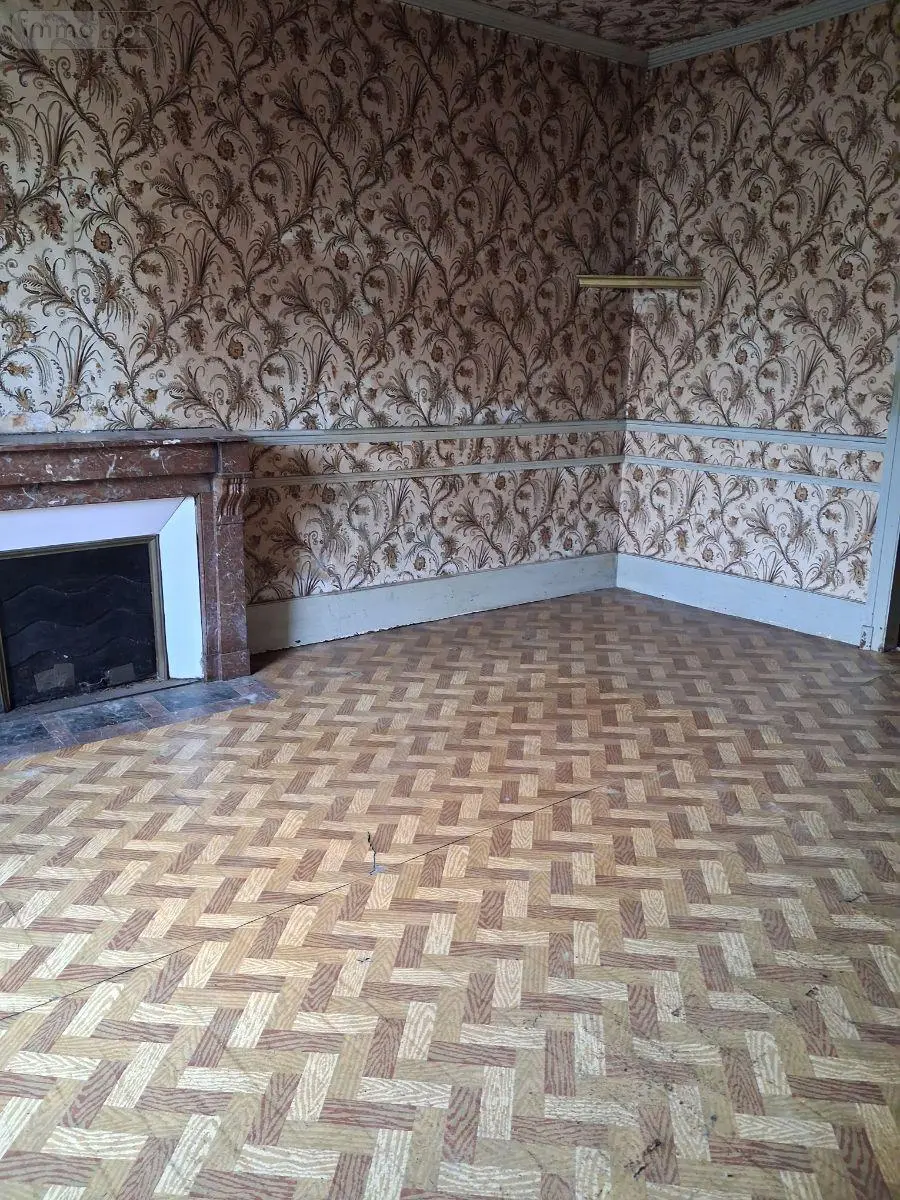 Maison a vendre Eurville-Bienville 52410 Haute-Marne 52 218 m2 9 pièces 48900 euros JO/1082 002