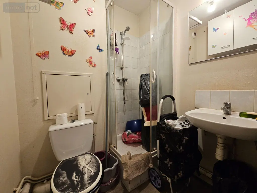 Appartement a vendre Rouen 76000 Seine-Maritime 76 20 m2 55000 euros 014/1030 006