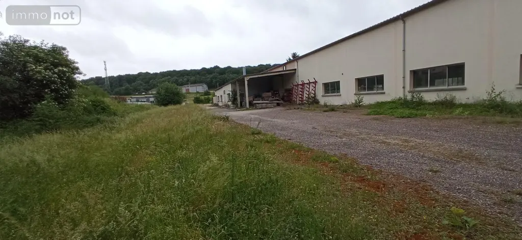 Fonds et murs commerciaux a vendre Biesles 52340 Haute-Marne 52 1244 m2 283400 euros 52020-77 003