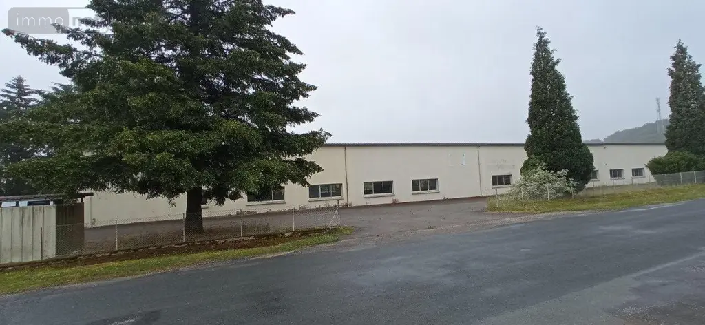 Fonds et murs commerciaux a vendre Biesles 52340 Haute-Marne 52 1244 m2 283400 euros 52020-77 009