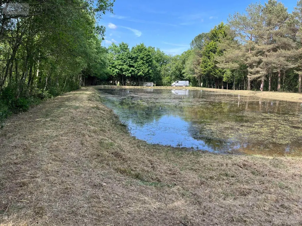 Terrains de loisirs bois etangs a vendre Renac 35660 Ille-et-Vilaine 35 34000 euros 35129-7023 001