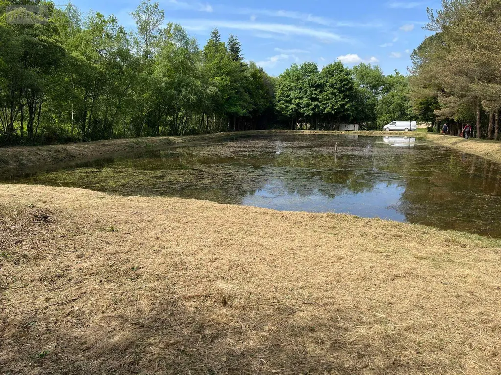 Terrains de loisirs bois etangs a vendre Renac 35660 Ille-et-Vilaine 35 34000 euros 35129-7023 003