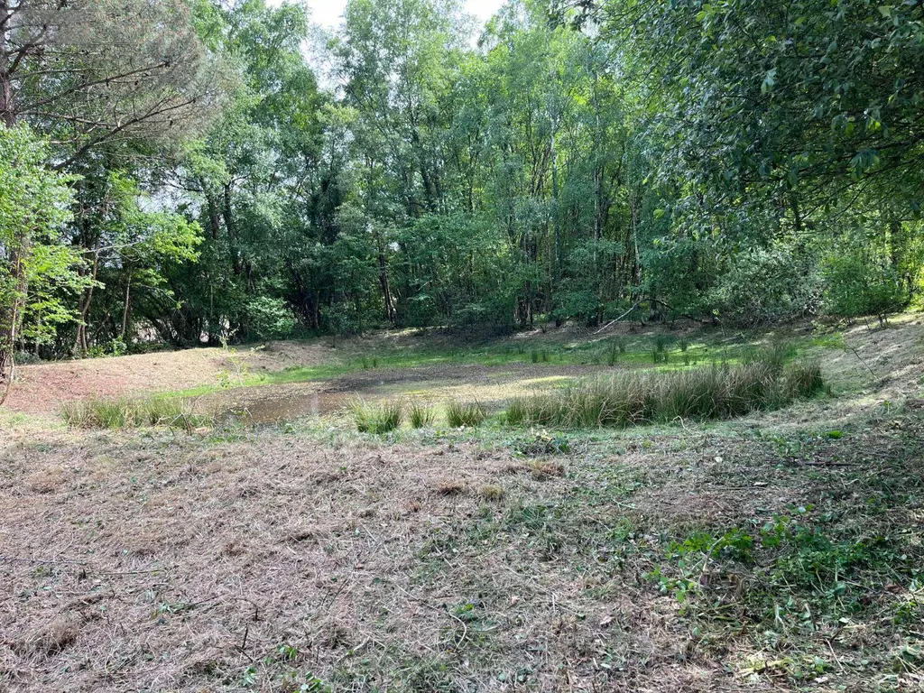 Terrains de loisirs bois etangs a vendre Renac 35660 Ille-et-Vilaine 35 34000 euros 35129-7023 004
