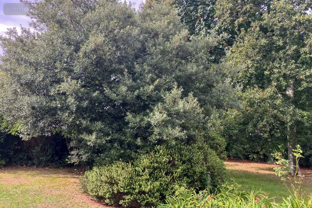 Maison a vendre Guipavas 29490 Finistère 29 122 m2 6 pièces 394700 euros 1076 027