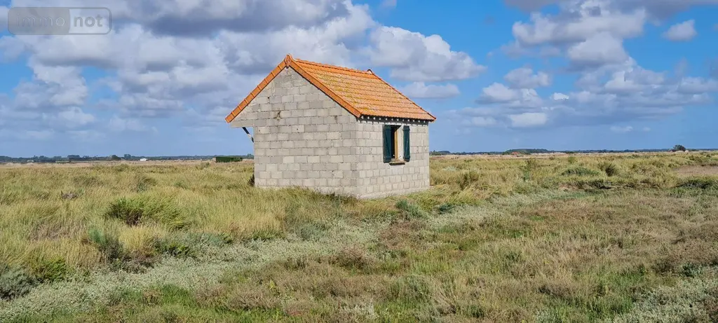 Terrains de loisirs bois etangs a vendre Le Gua 17600 Charente-Maritime 17 32400 euros 02084 004