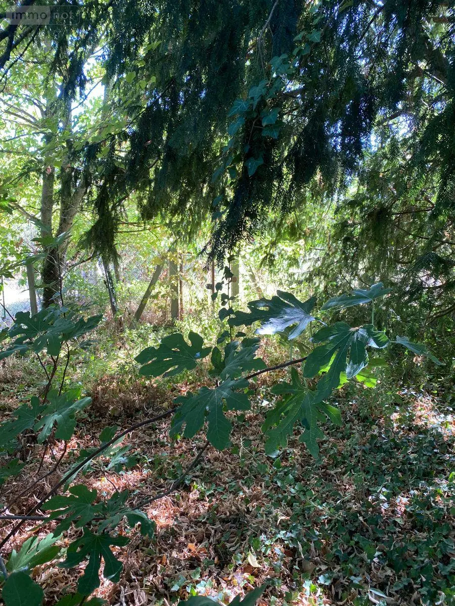Maison a vendre Clion 36700 Indre 36 73 m2 4 pièces 64800 euros 1052866 008