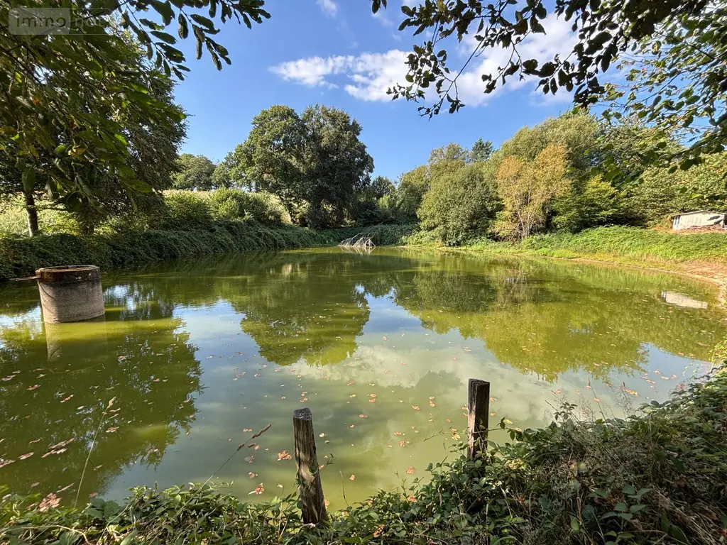 Terrains de loisirs bois etangs a vendre Saint-Mars-sur-la-Futaie 53220 Mayenne 53 20792 euros 1392 002