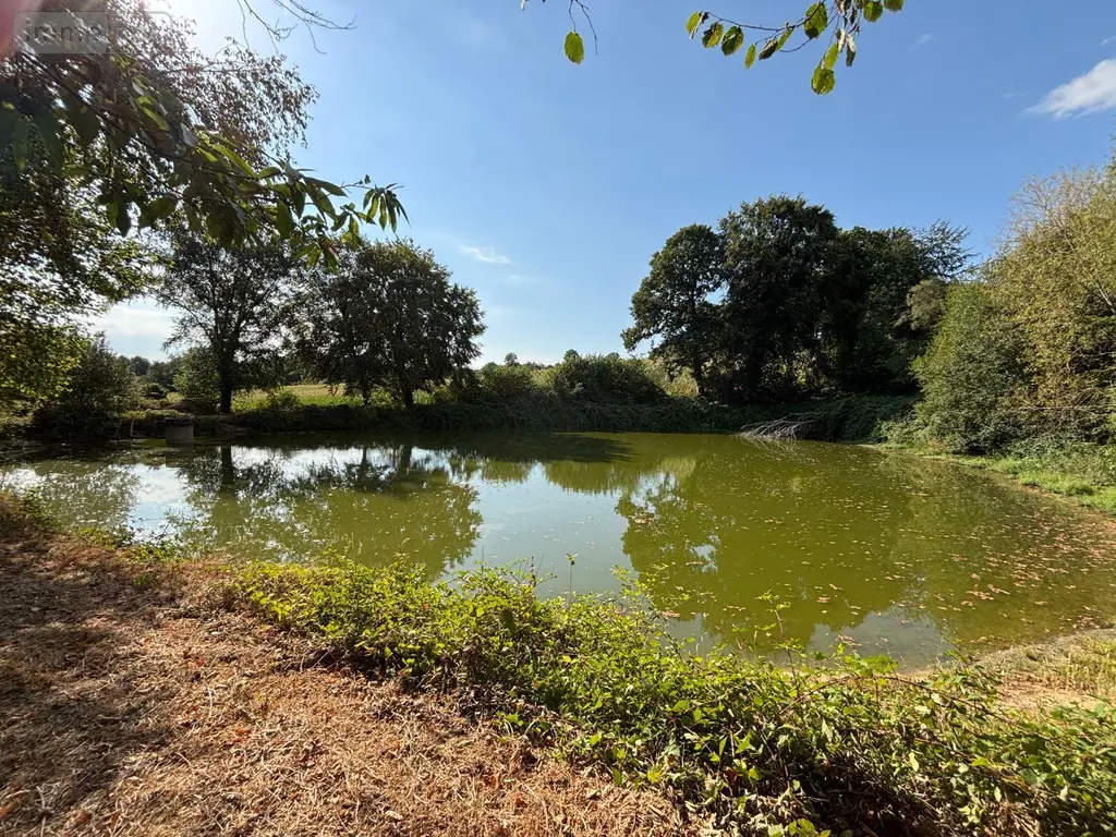 Terrains de loisirs bois etangs a vendre Saint-Mars-sur-la-Futaie 53220 Mayenne 53 20792 euros 1392 004