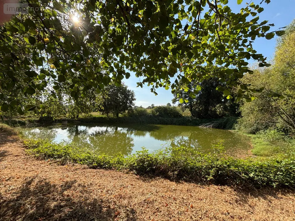 Terrains de loisirs bois etangs a vendre Saint-Mars-sur-la-Futaie 53220 Mayenne 53 20792 euros 1392 005