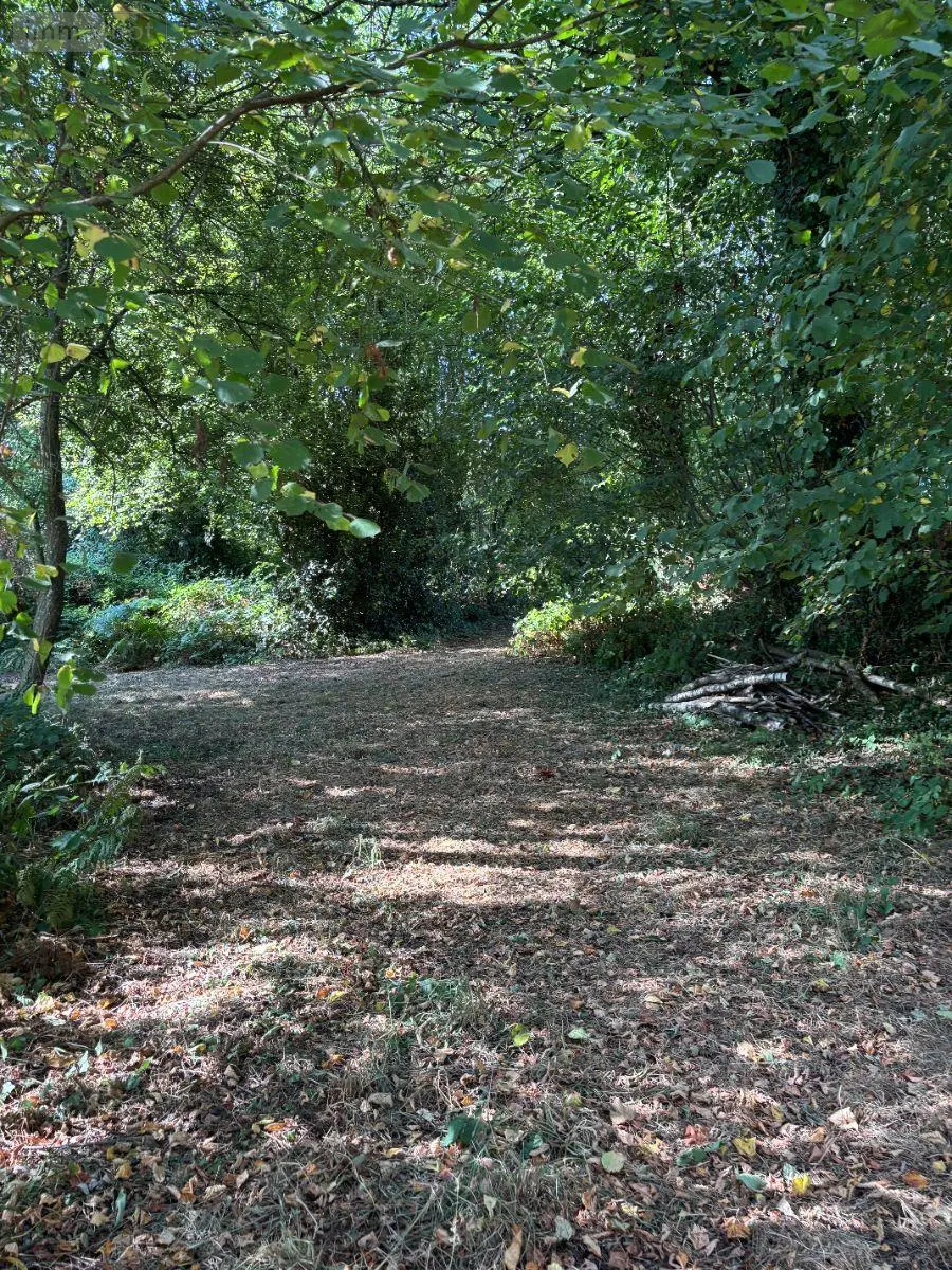 Terrains de loisirs bois etangs a vendre Saint-Mars-sur-la-Futaie 53220 Mayenne 53 20792 euros 1392 006