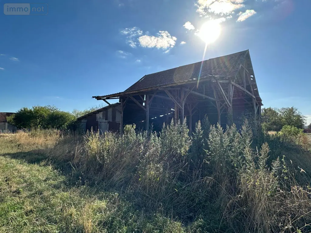 Bien agricole a vendre Villeneuve-sur-Yonne 89500 Yonne 89 17000 euros 89062-154 002