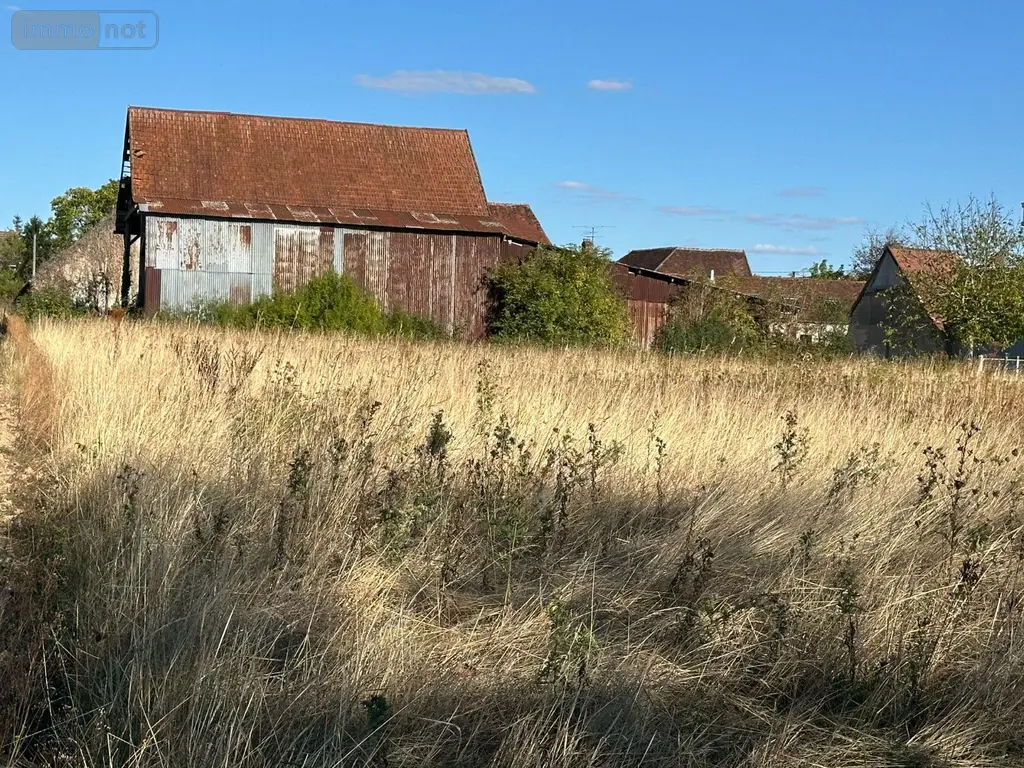 Bien agricole a vendre Villeneuve-sur-Yonne 89500 Yonne 89 17000 euros 89062-154 004