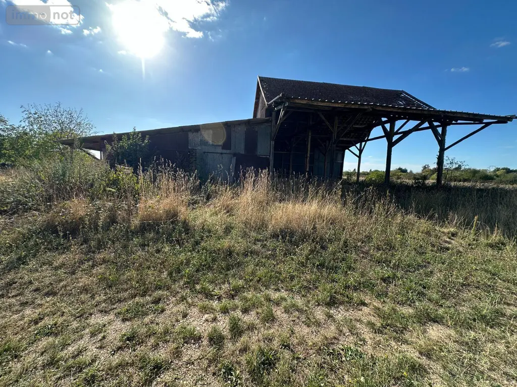Bien agricole a vendre Villeneuve-sur-Yonne 89500 Yonne 89 17000 euros 89062-154 007