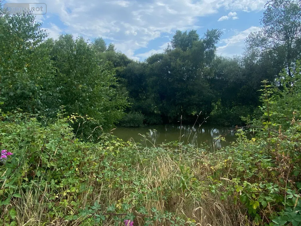 Terrains de loisirs bois etangs a vendre Pontmain 53220 Mayenne 53 105400 euros 135/166 002