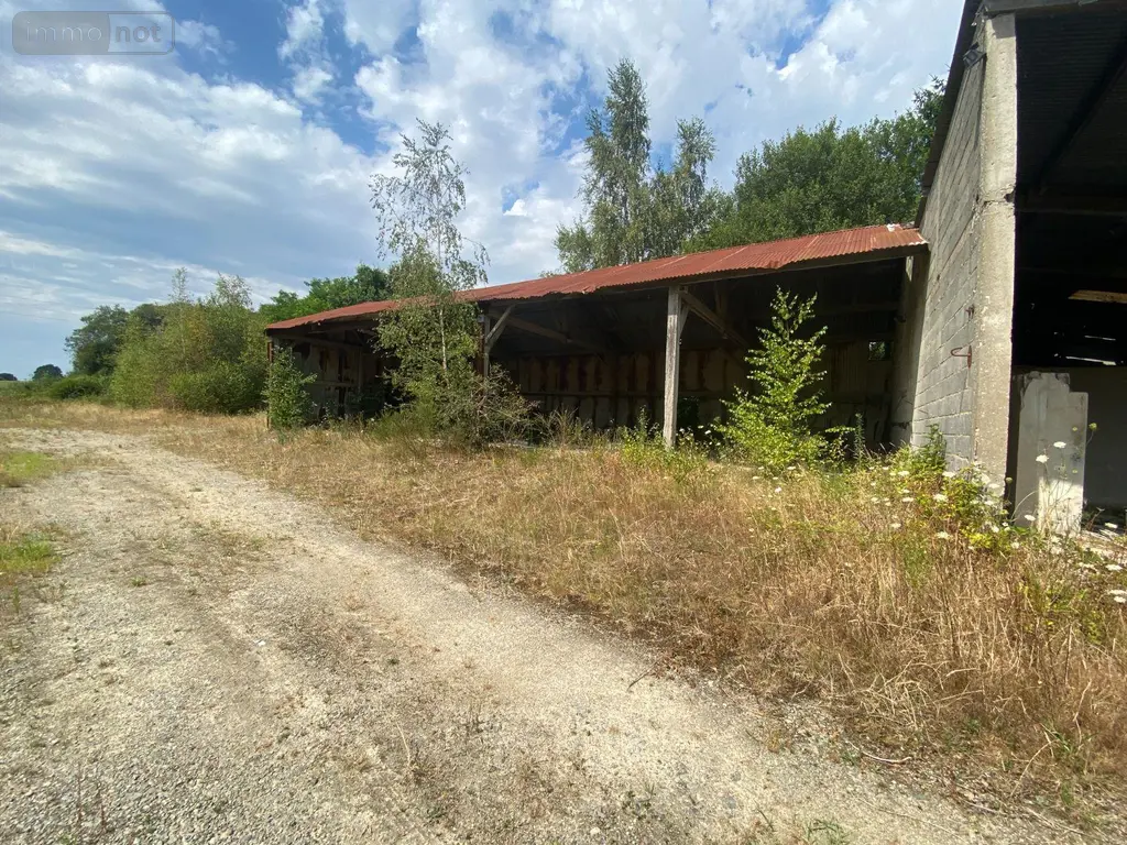 Terrains de loisirs bois etangs a vendre Pontmain 53220 Mayenne 53 105400 euros 135/166 003