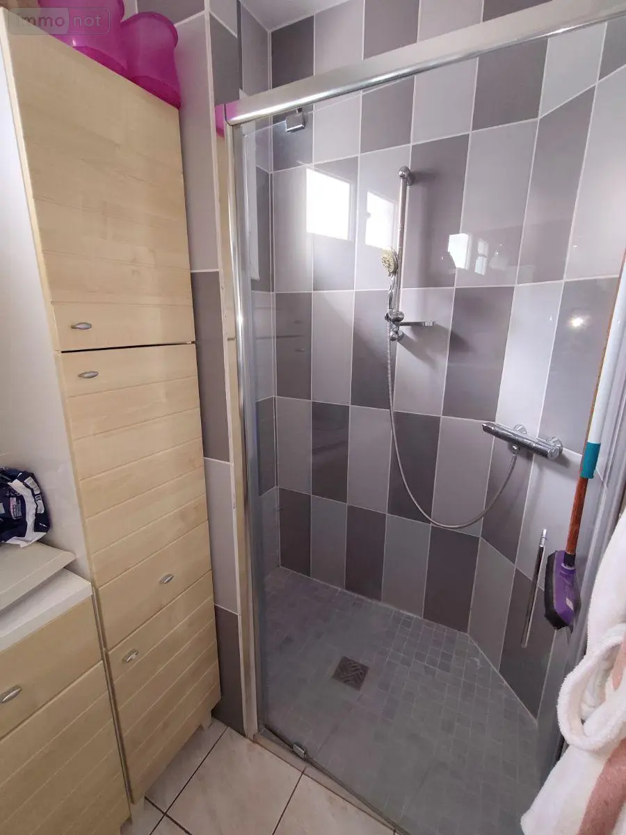 Viager maison Chauvigny 86300 Vienne 86 88 m2 3 pièces 40000 euros 2576 010