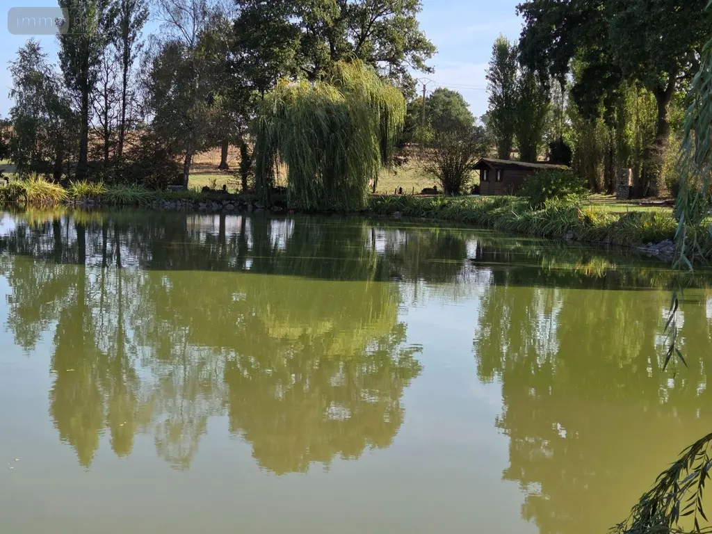 Terrains de loisirs bois etangs a vendre Martigné-sur-Mayenne 53470 Mayenne 53 63000 euros 53075/FC38 002