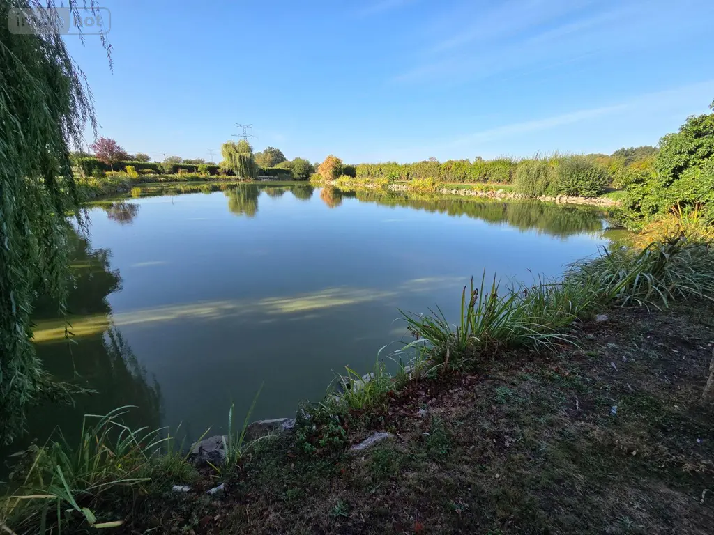 Terrains de loisirs bois etangs a vendre Martigné-sur-Mayenne 53470 Mayenne 53 63000 euros 53075/FC38 007