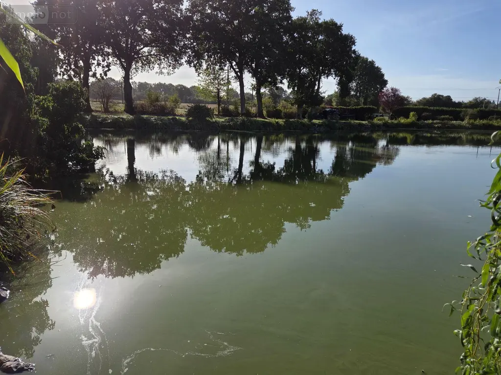 Terrains de loisirs bois etangs a vendre Martigné-sur-Mayenne 53470 Mayenne 53 63000 euros 53075/FC38 008