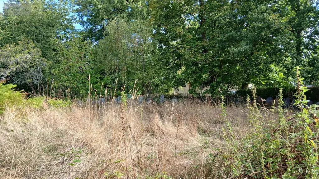 Maison a vendre La Gacilly 56200 Morbihan 56 72 m2 2 pièces 85000 euros 009/1384 006