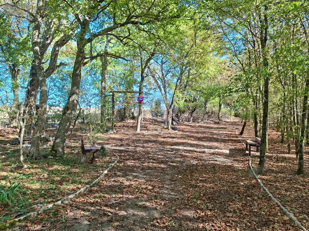 Terrains de loisirs bois etangs a vendre Osmery 18130 Cher 18 9900 euros 260138 007