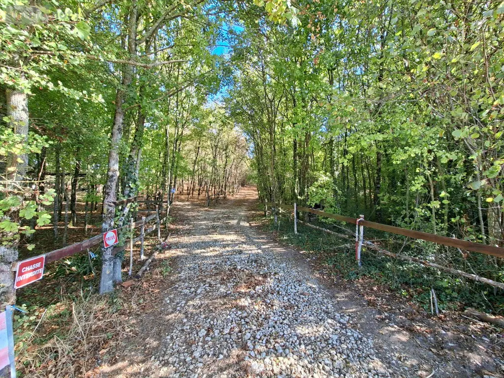 Terrains de loisirs bois etangs a vendre Osmery 18130 Cher 18 9900 euros 260138 006