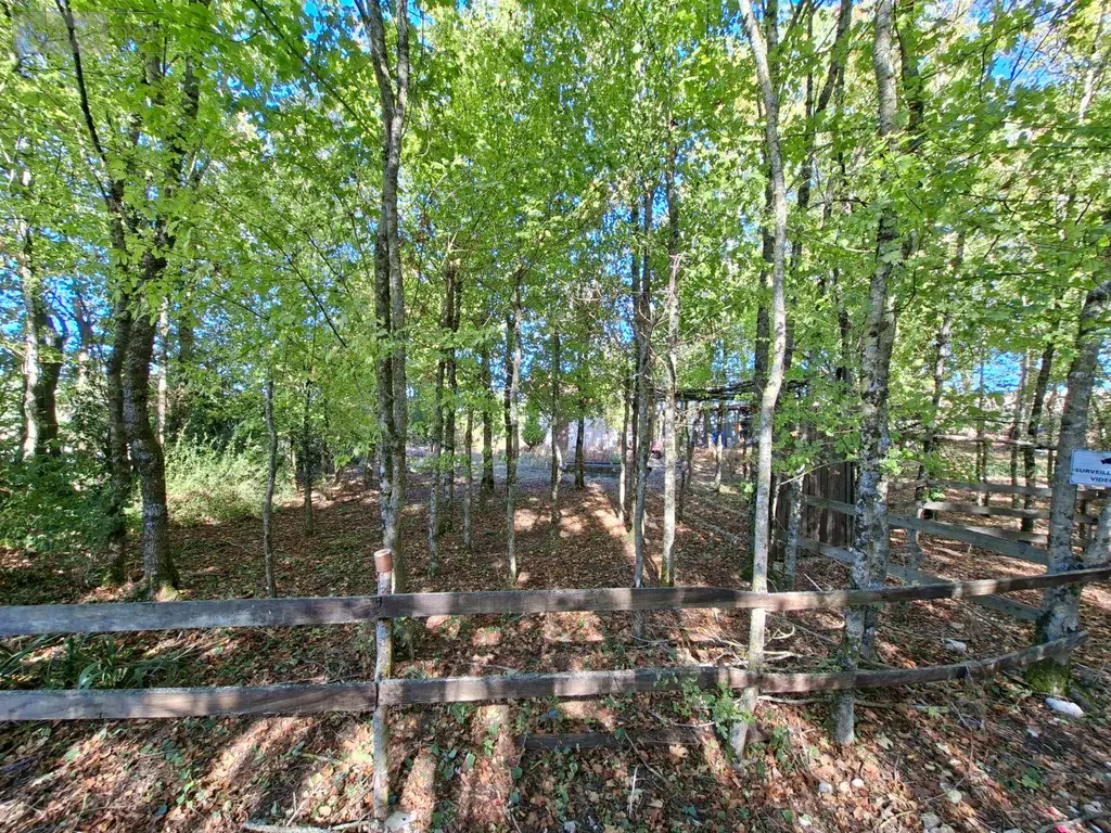 Terrains de loisirs bois etangs a vendre Osmery 18130 Cher 18 9900 euros 260138 005