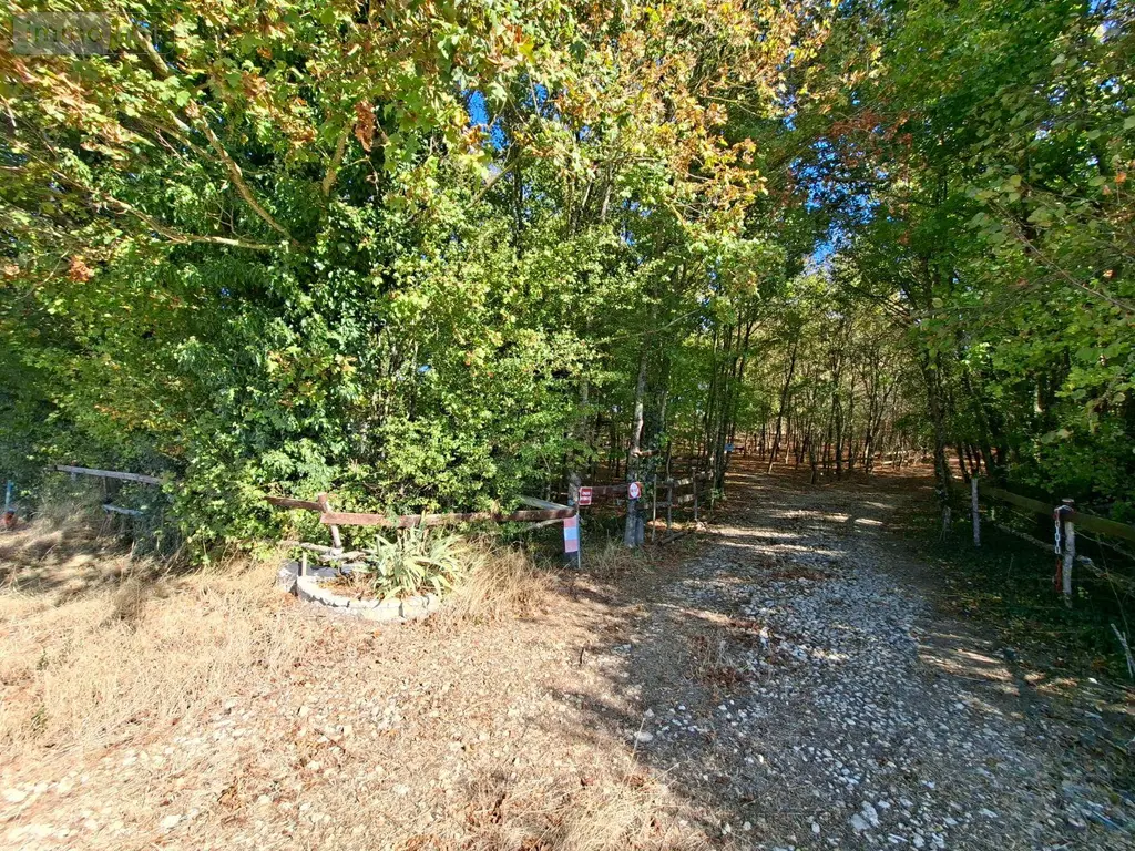 Terrains de loisirs bois etangs a vendre Osmery 18130 Cher 18 9900 euros 260138 009