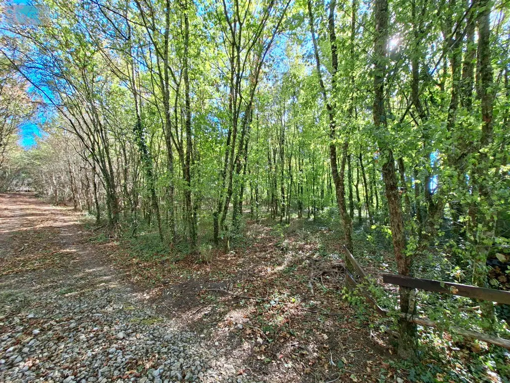 Terrains de loisirs bois etangs a vendre Osmery 18130 Cher 18 9900 euros 260138 010