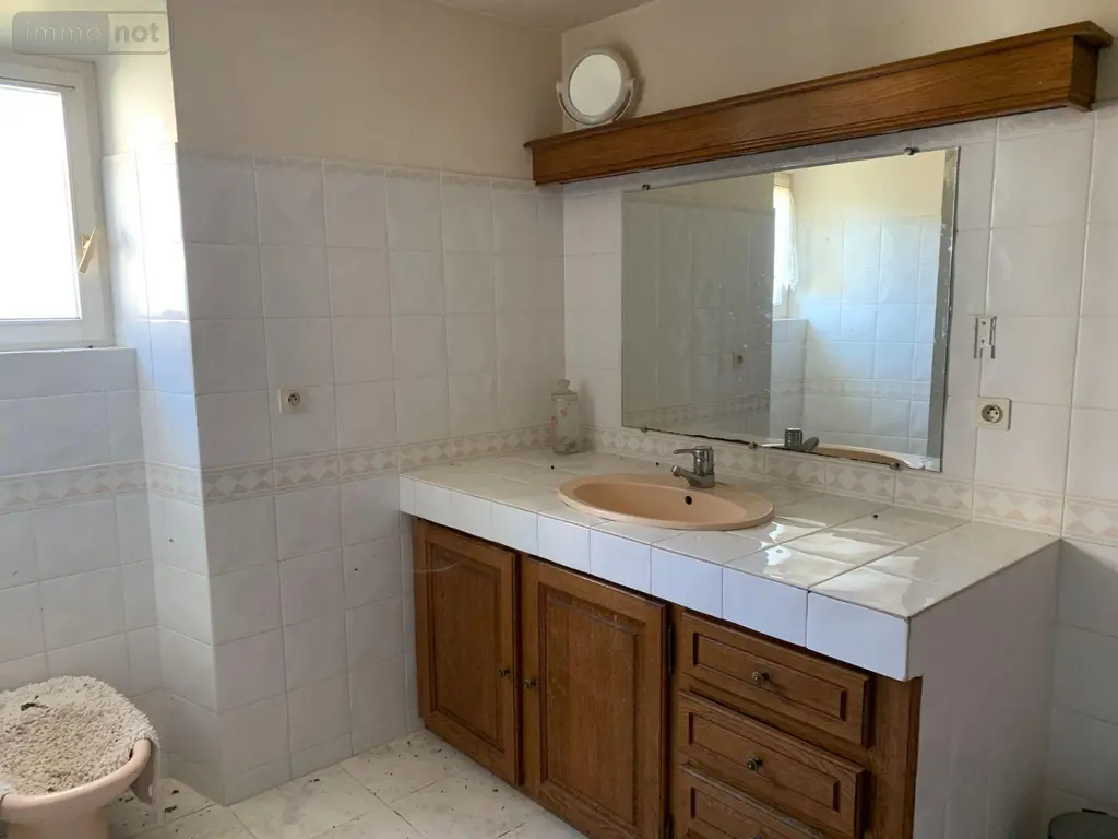 Maison a vendre Martizay 36220 Indre 36 312 m2 10 pièces 319200 euros 1047984M 013