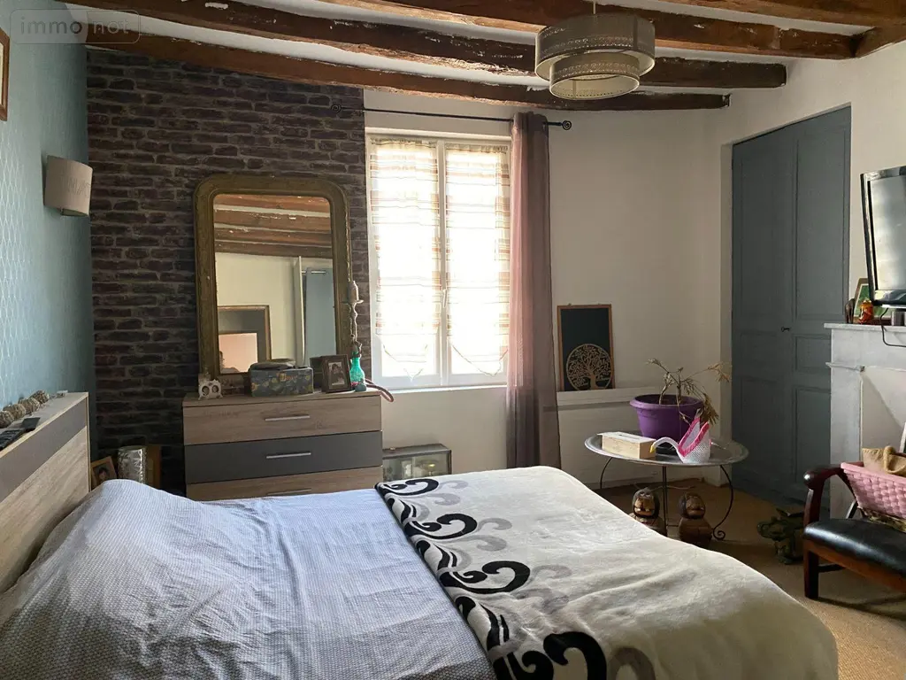 Maison a vendre Châtillon-sur-Indre 36700 Indre 36 100 m2 5 pièces 144300 euros 1051529 007