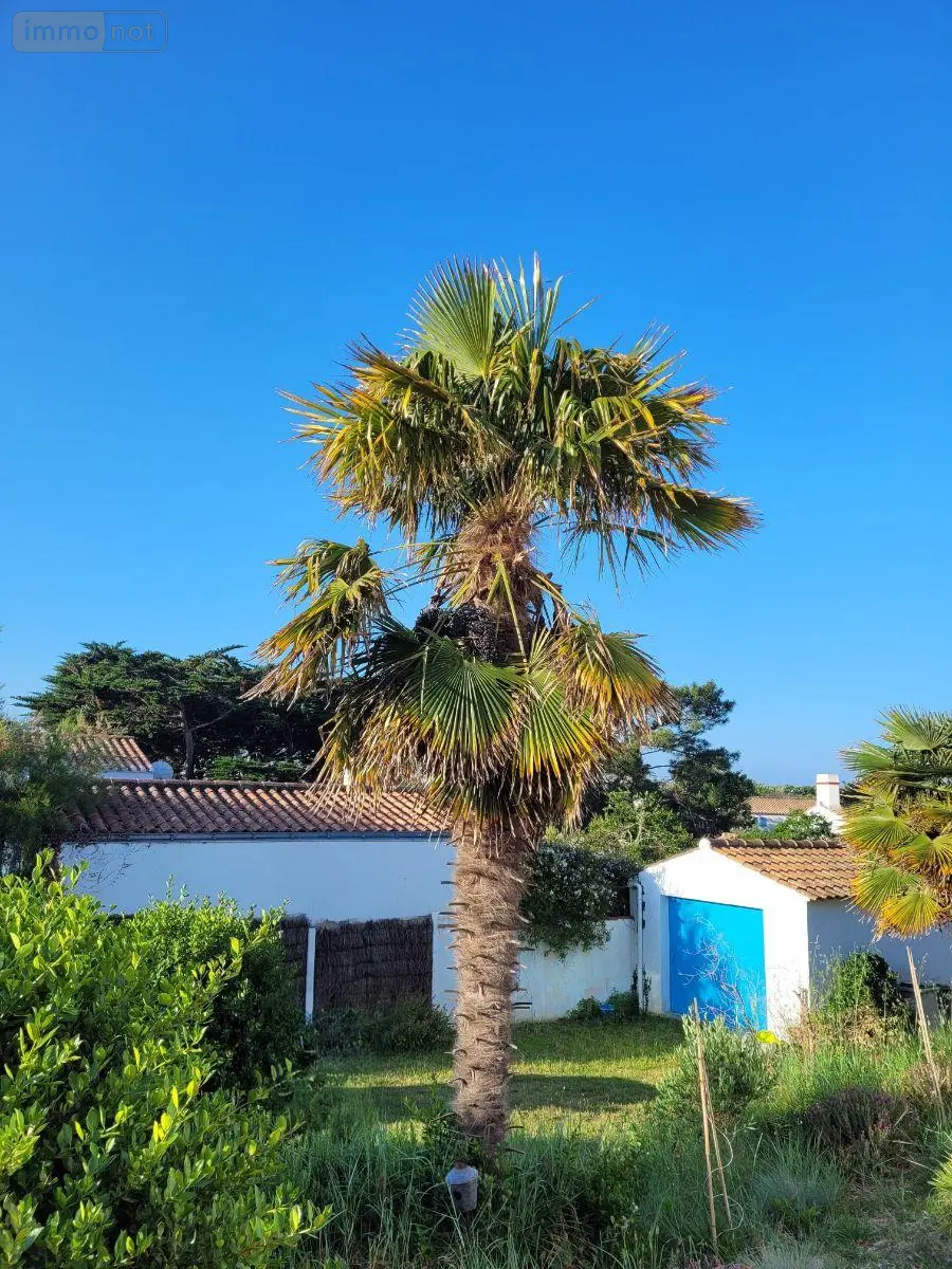 Maison a vendre Noirmoutier-en-l'Île 85330 Vendée 85 134 m2 8 pièces 829000 euros PB-1886 004