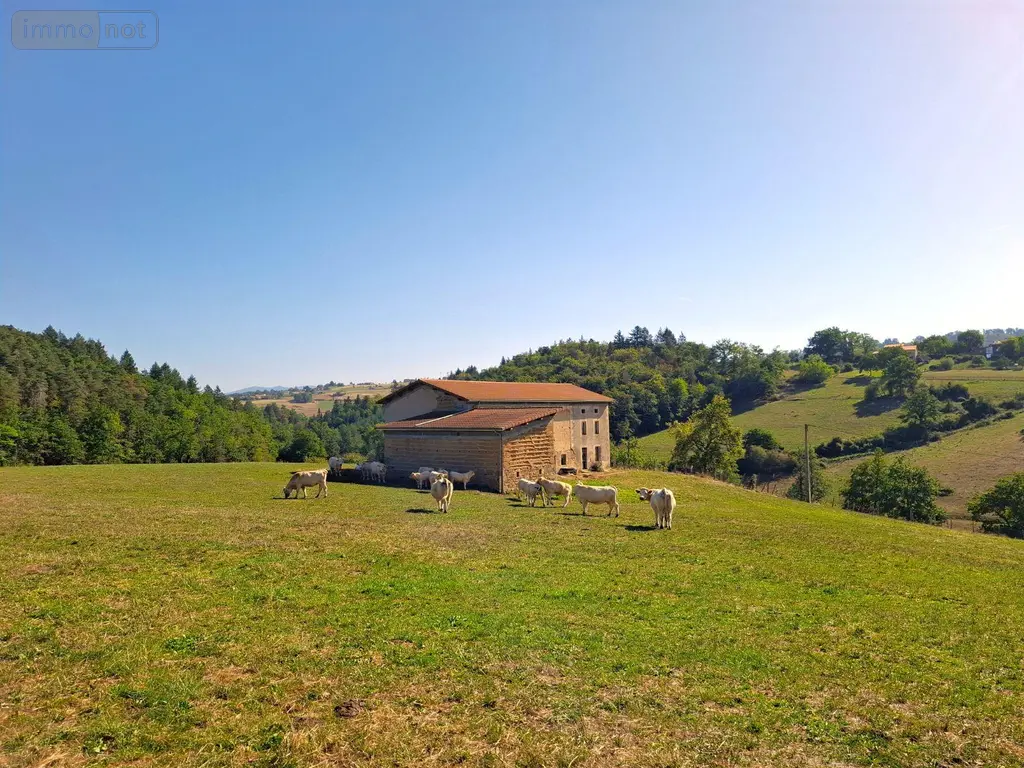 Maison a vendre Saint-Dier-d'Auvergne 63520 Puy-de-Dôme 63 130 m2 3 pièces 191000 euros 2026-94-2026284 001