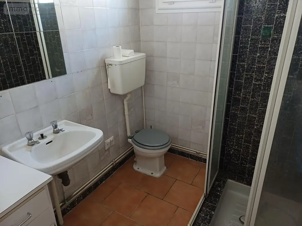 Maison a vendre Romorantin-Lanthenay 41200 Loir-et-Cher 41 34 m2 2 pièces 53780 euros 41036/3227 004