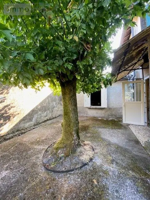 Maison a vendre Bazas 33430 Gironde 33 225 m2 8 pièces 71000 euros 33062-45 013